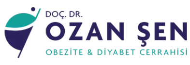 ozansen-logo-1png-393×135-1